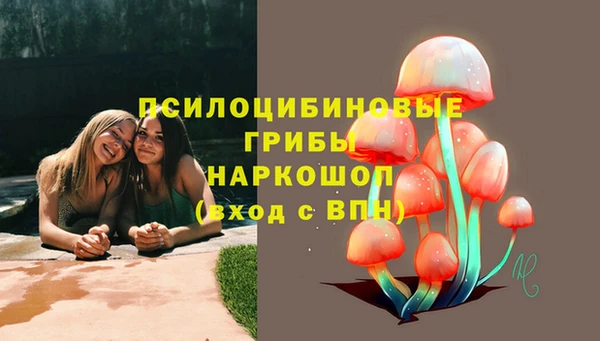 шишки Бугульма